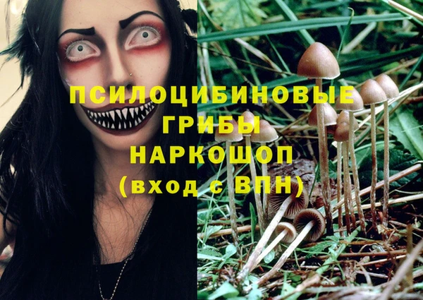 скорость Арсеньев